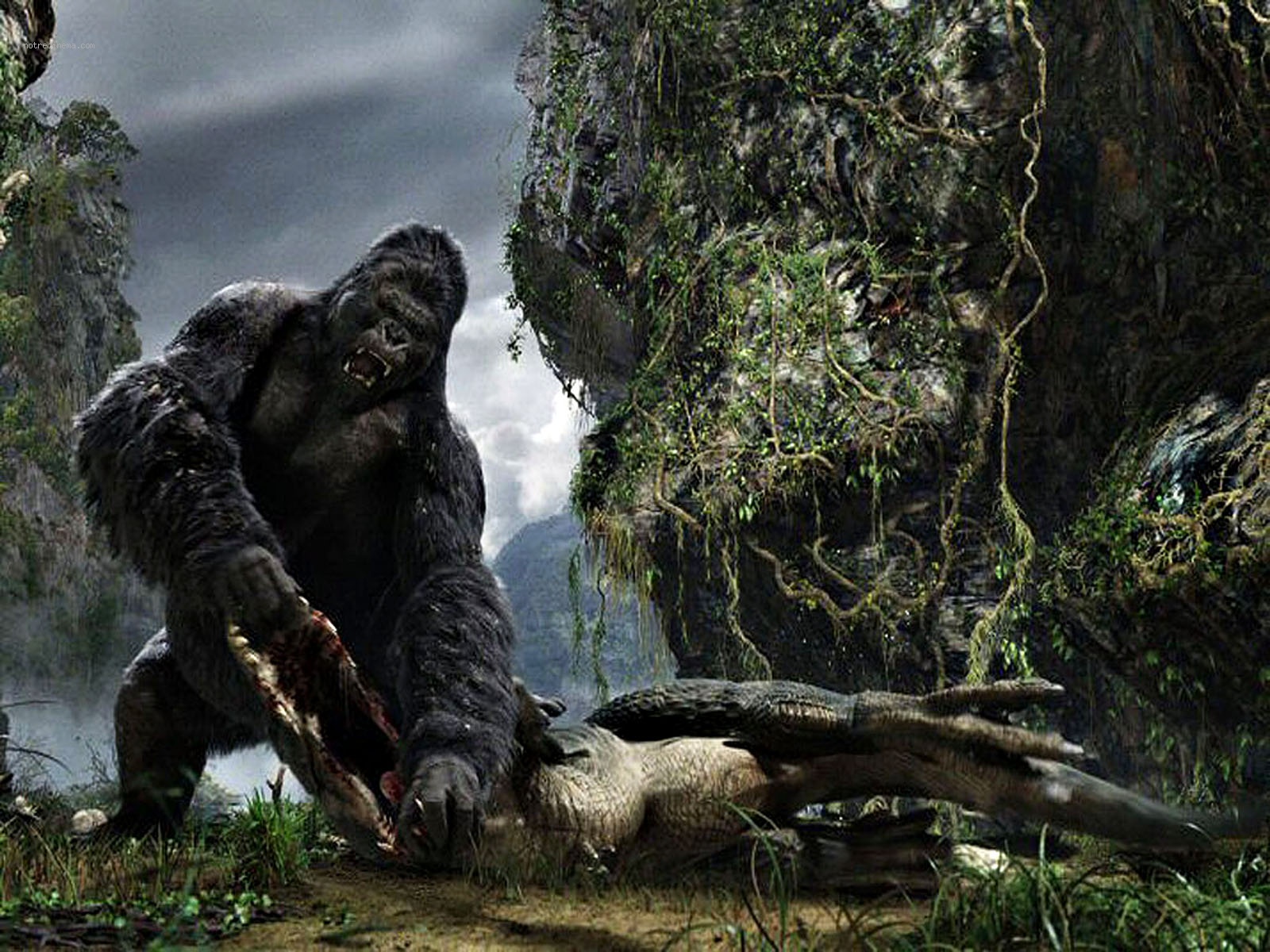 King Kong Wallpapers