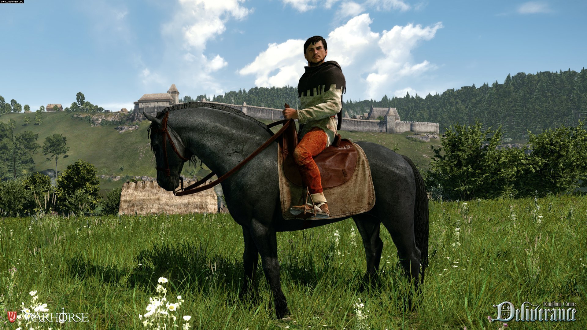 Kingdom Come Deliverance Wallpapers