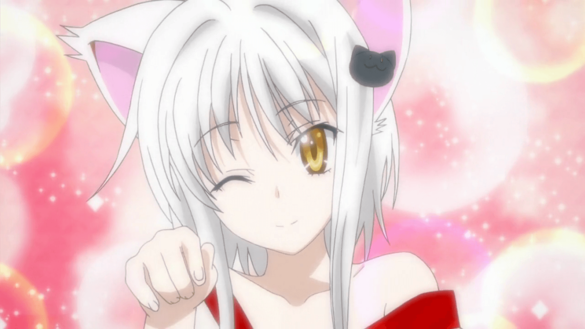 Koneko Wallpapers