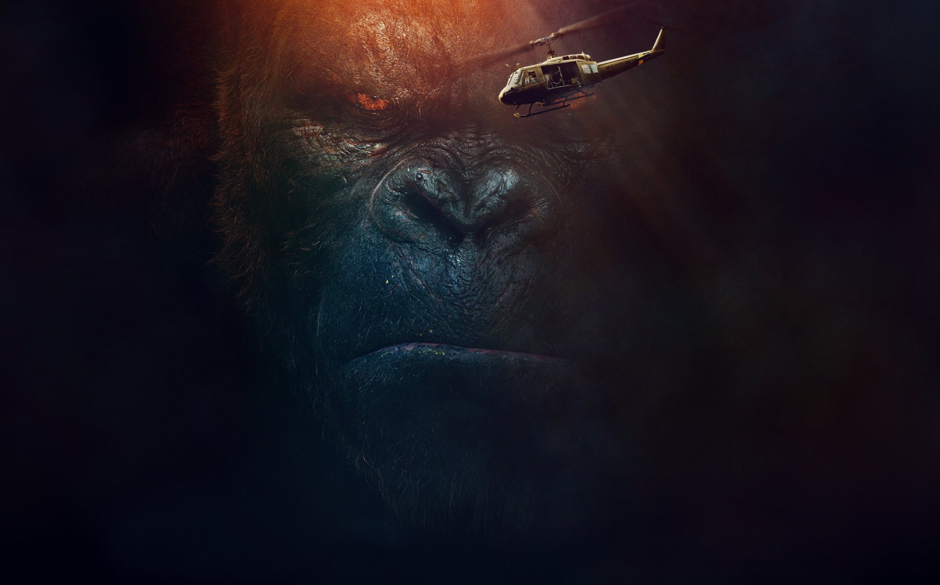 Kong Wallpapers