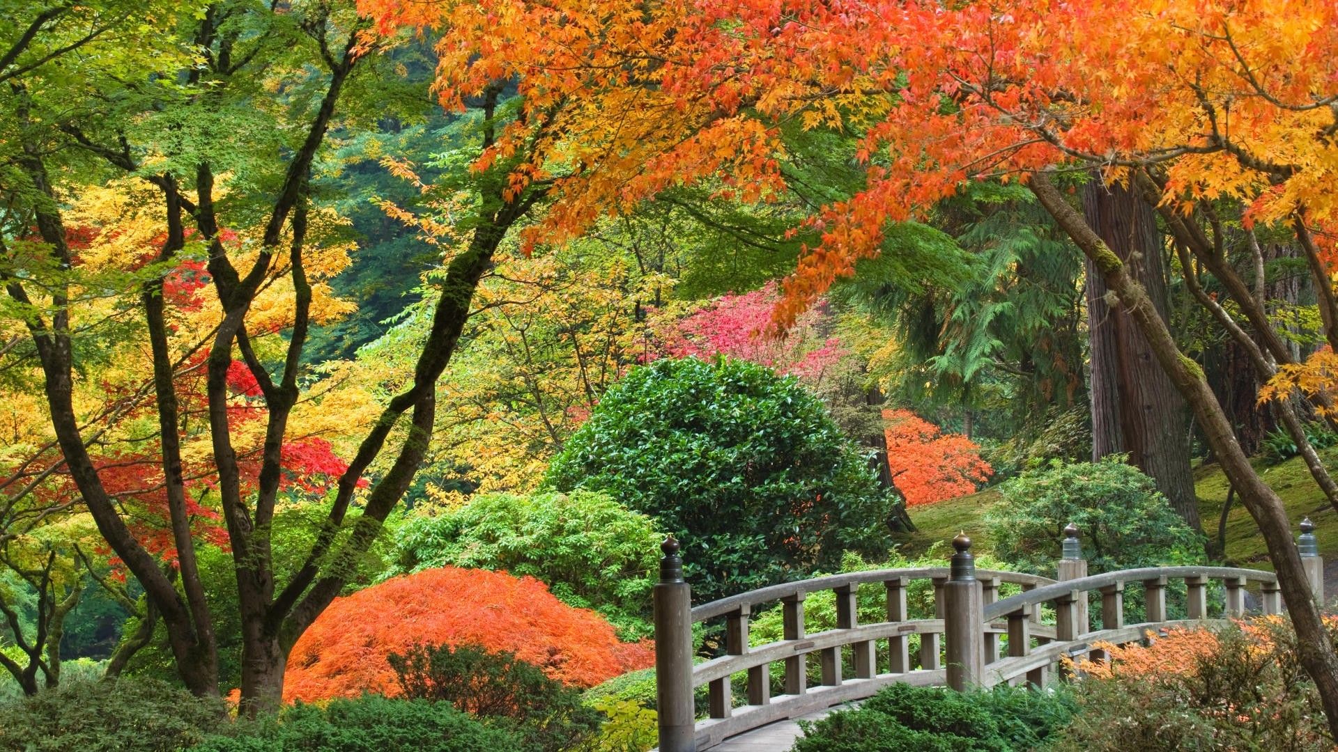 Korean Garden Wallpapers