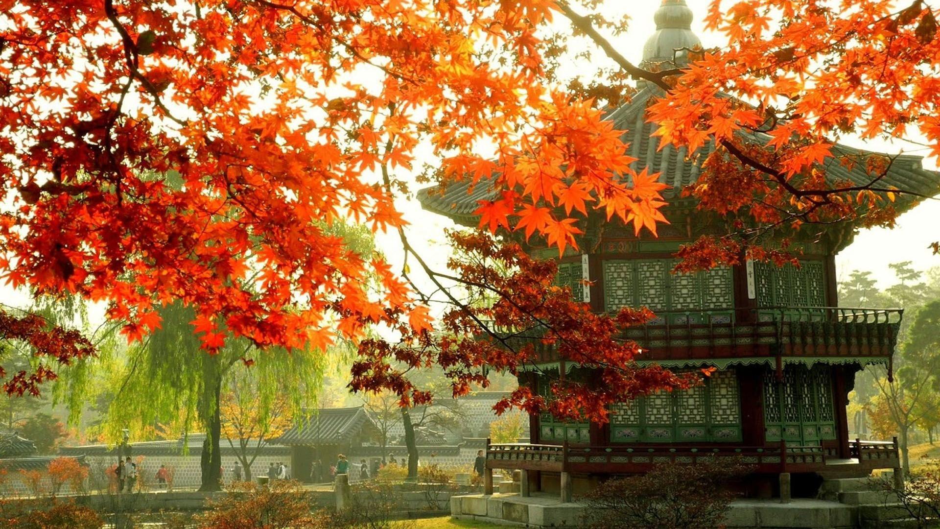 Korean Garden Wallpapers