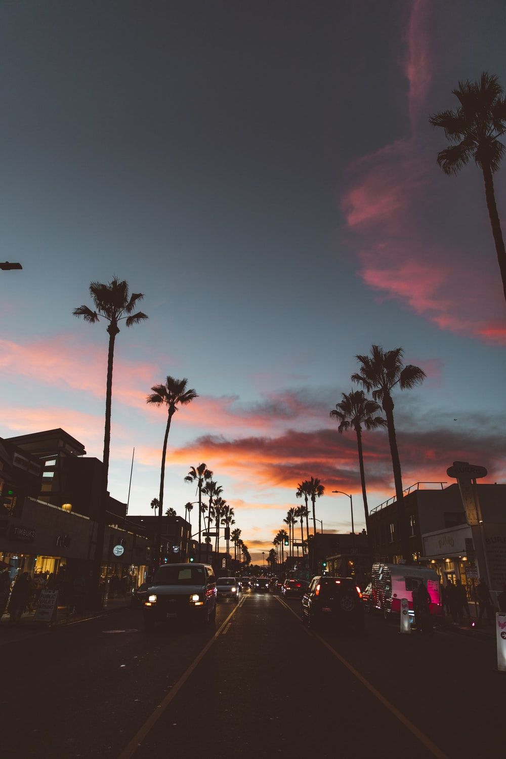 La Palm Trees Wallpapers