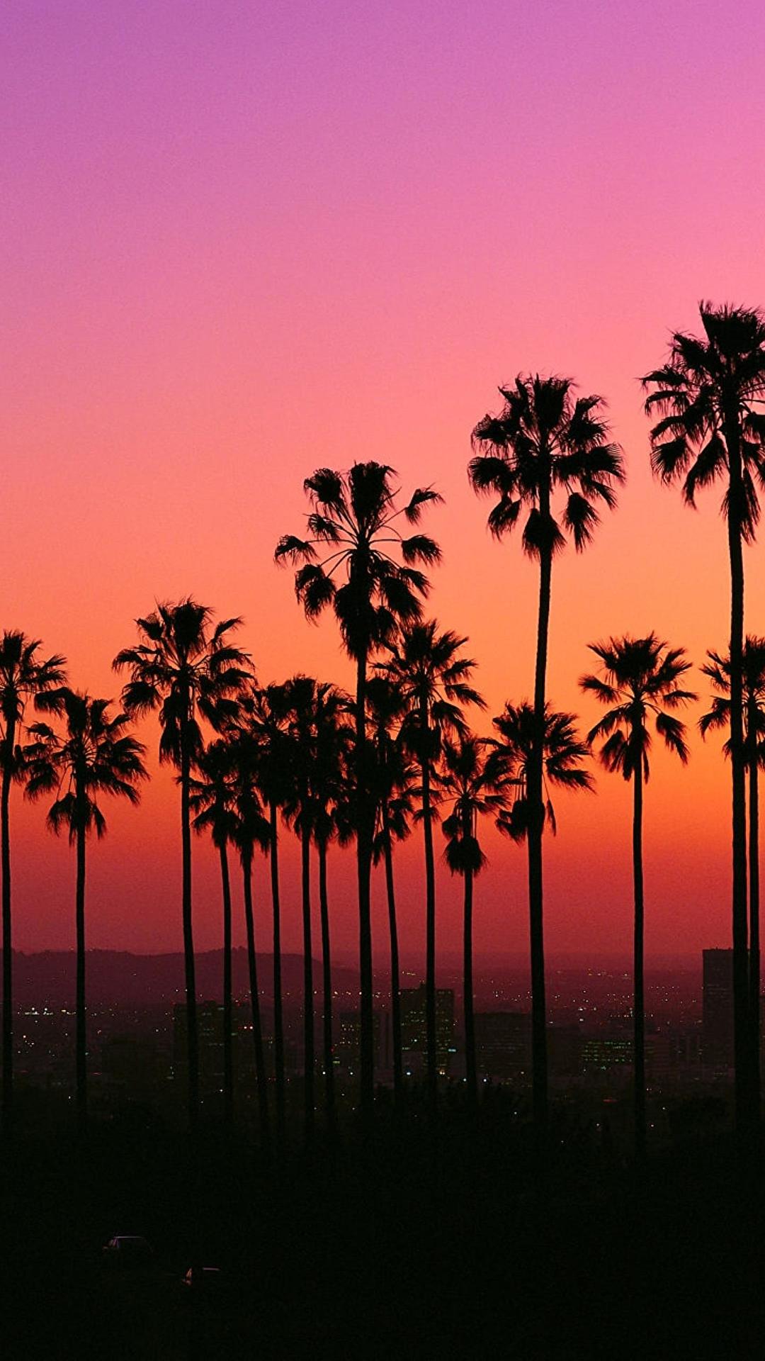 La Palm Trees Wallpapers