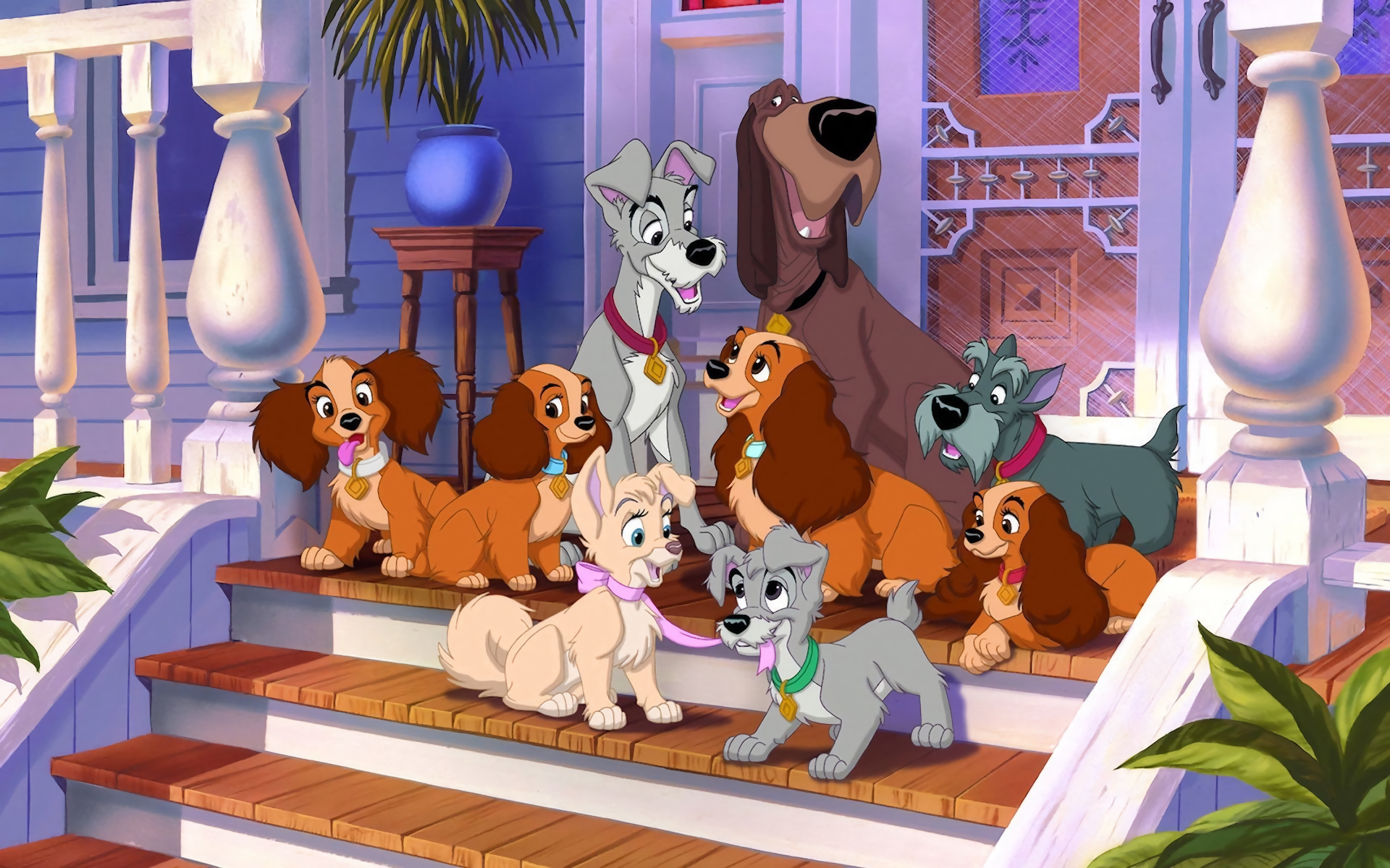 Lady And The Tramp Wallpapers