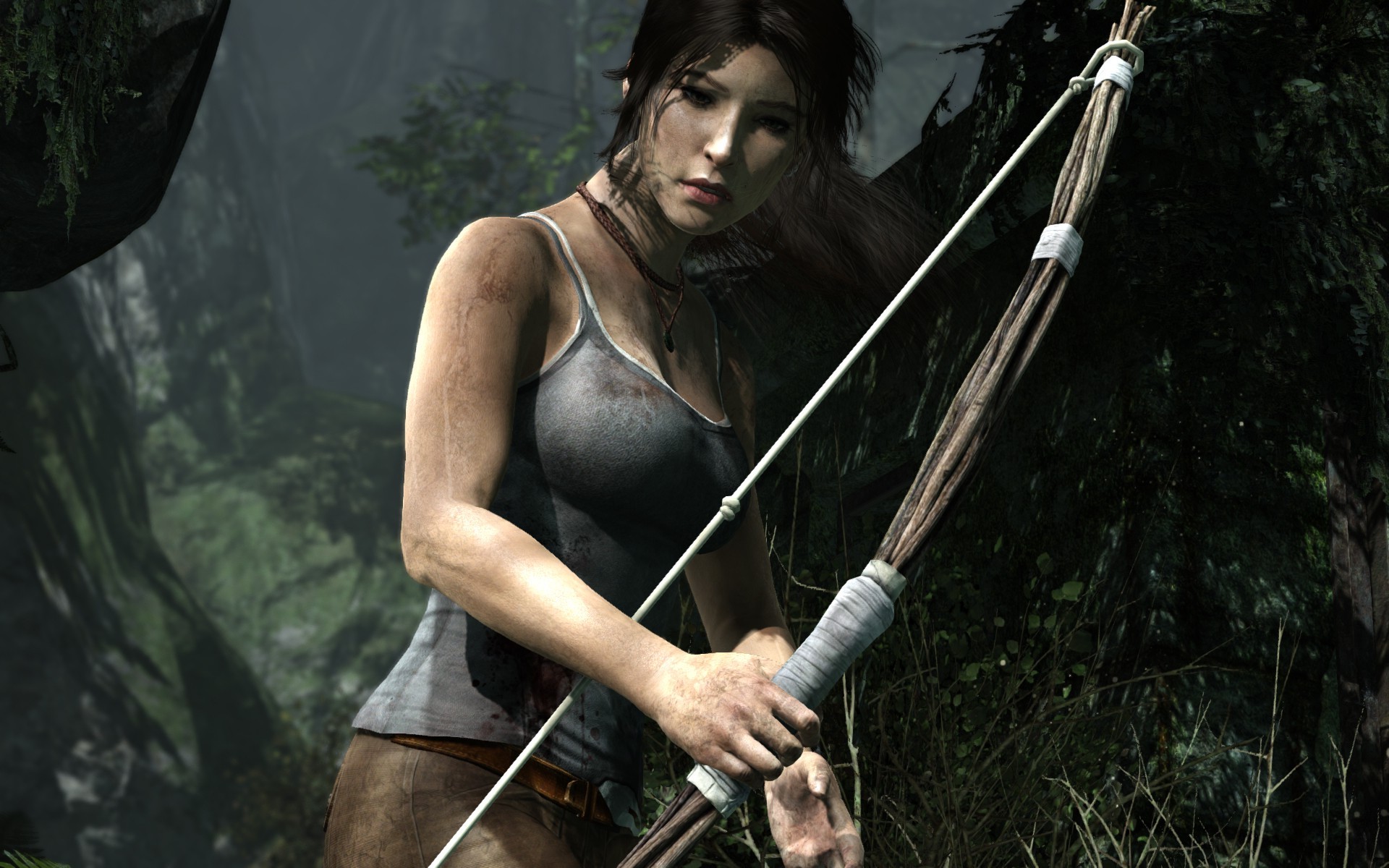 Lara Croft 2013 Wallpapers