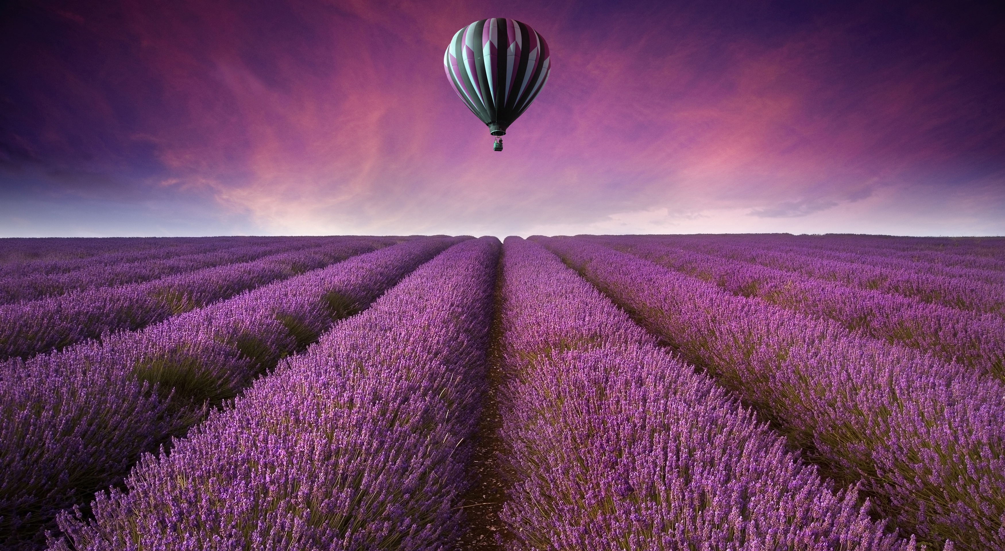 Lavender Desktop Wallpapers