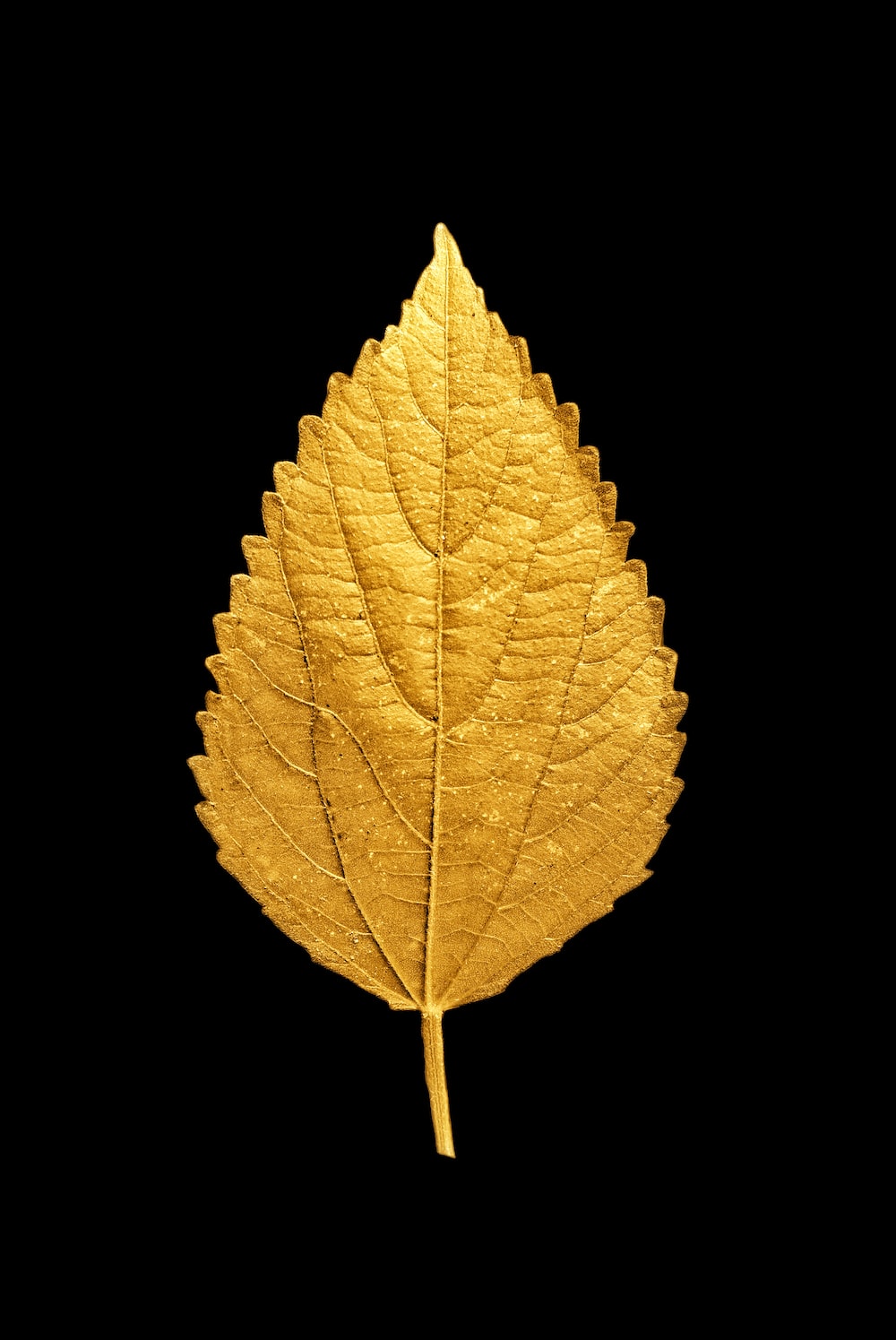 Leaves Gold Wallpapers