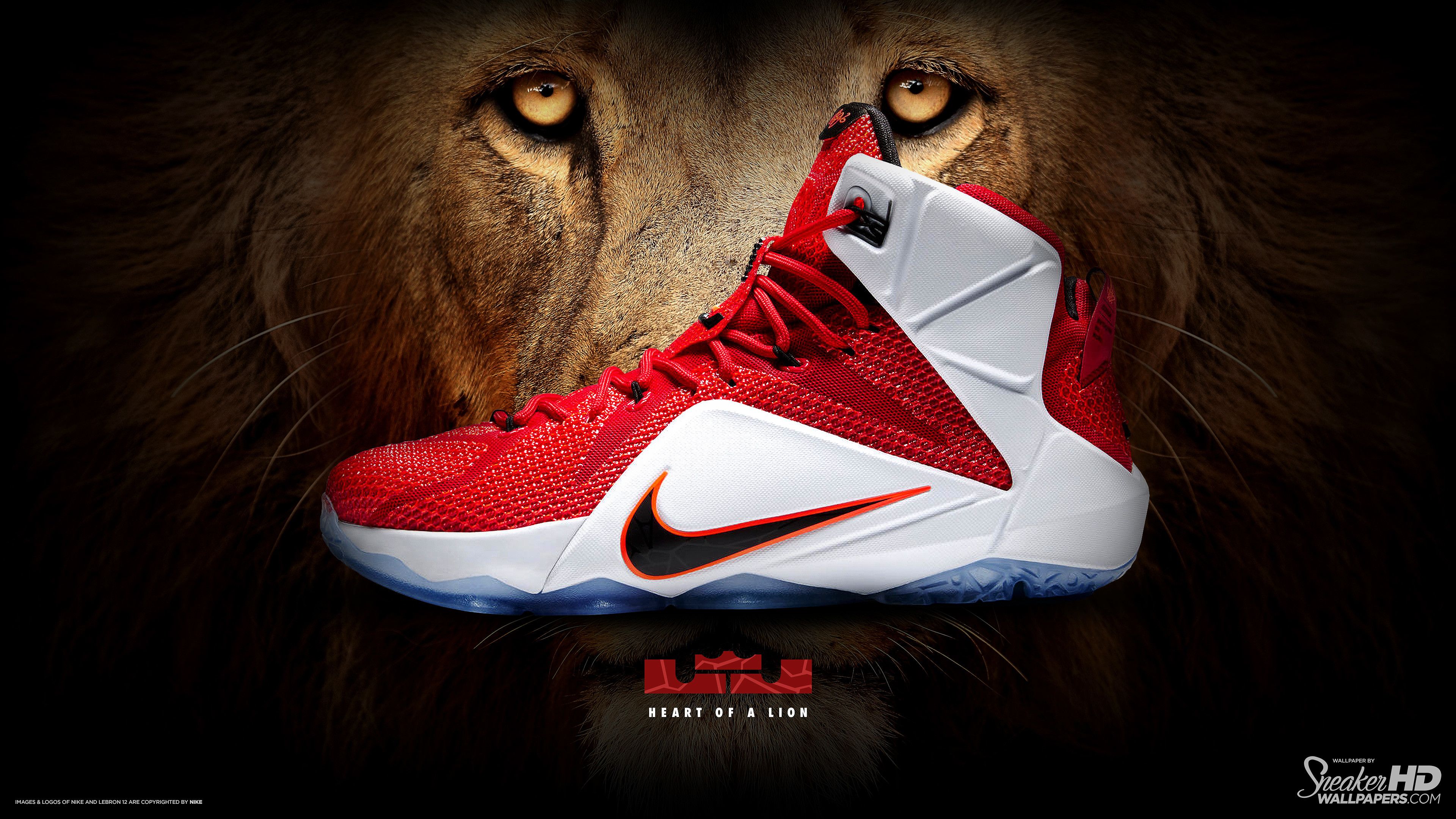 Lebrons Shoes Wallpapers