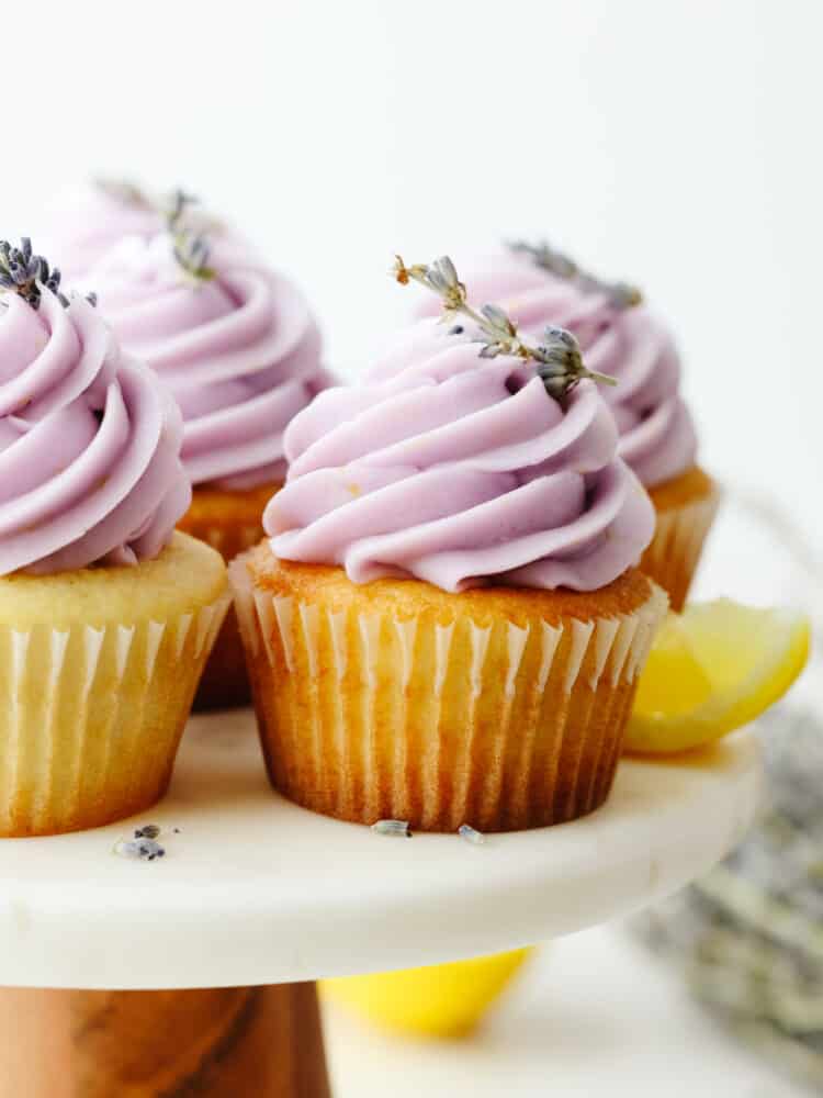 Light Purple Cupcakes Wallpapers