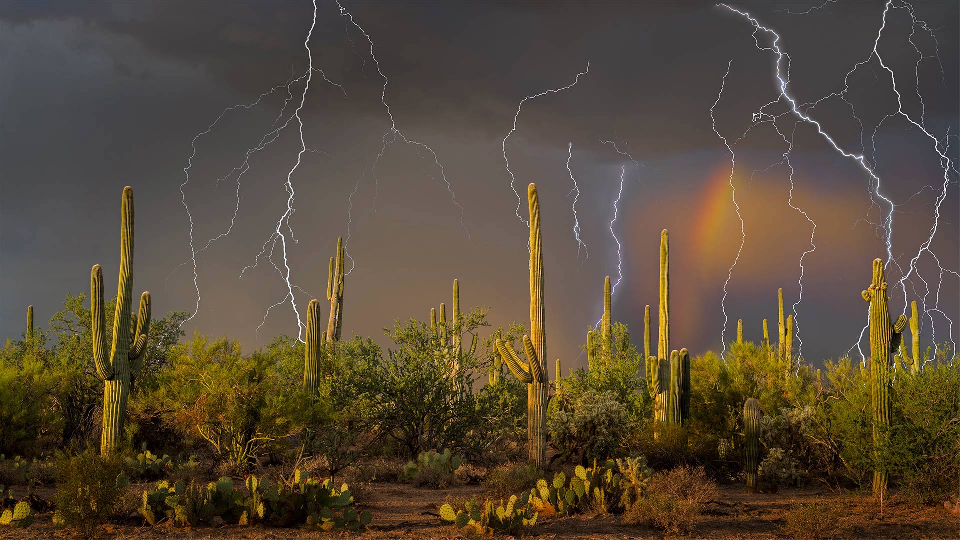 Lightning Desert Wallpapers