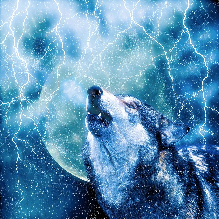 Lightning Wolf Wallpapers