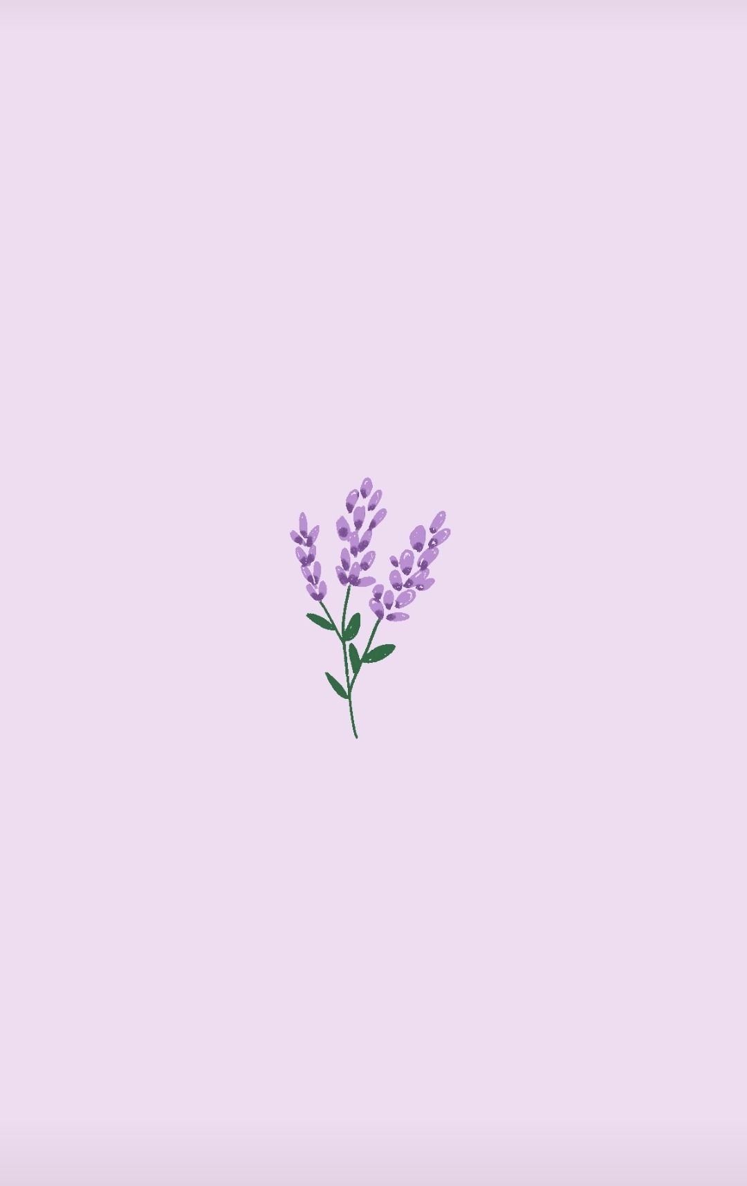 Lilac Aesthetic Wallpapers