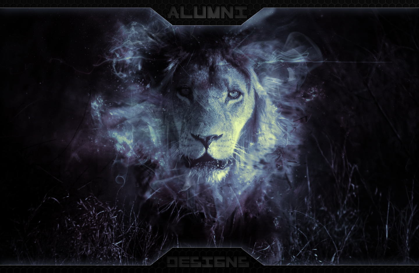 Lion Art Tumblr Wallpapers