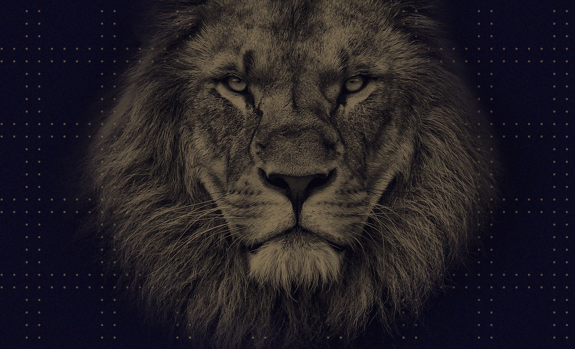 Lion Mentality Wallpapers