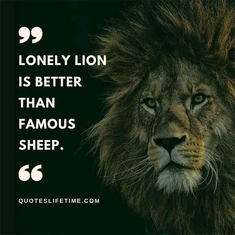 Lion Quotes Wallpapers