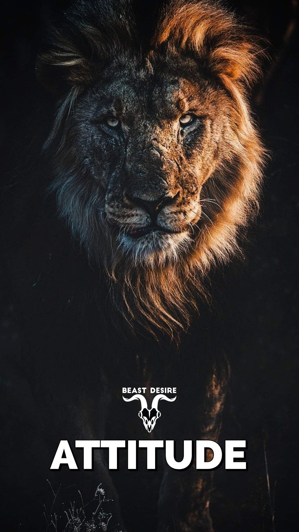 Lion Quotes Wallpapers