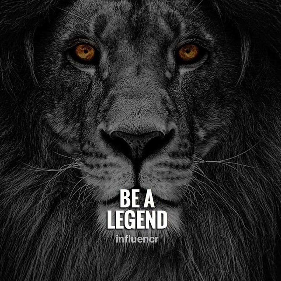 Lion Quotes Wallpapers