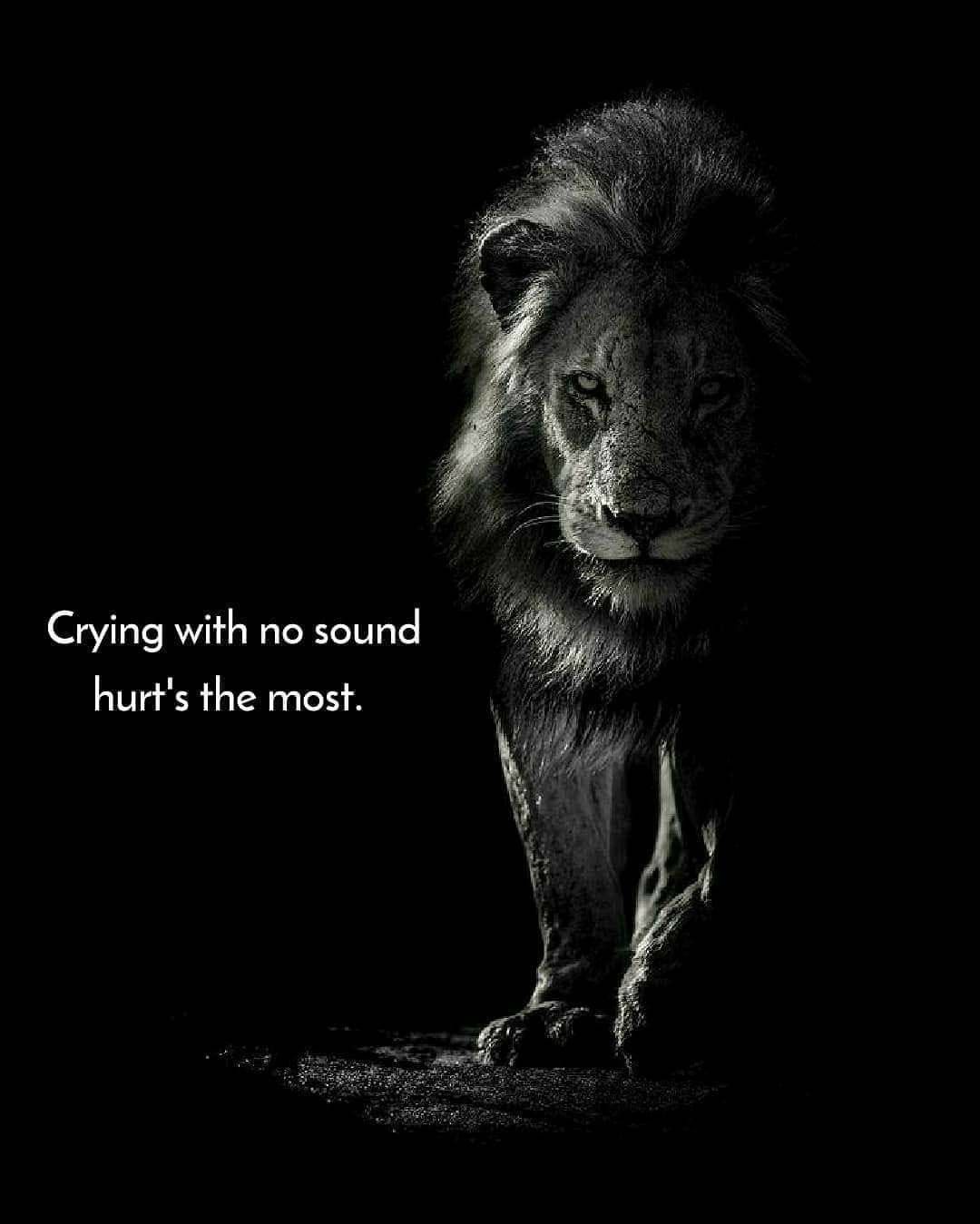 Lion Quotes Wallpapers