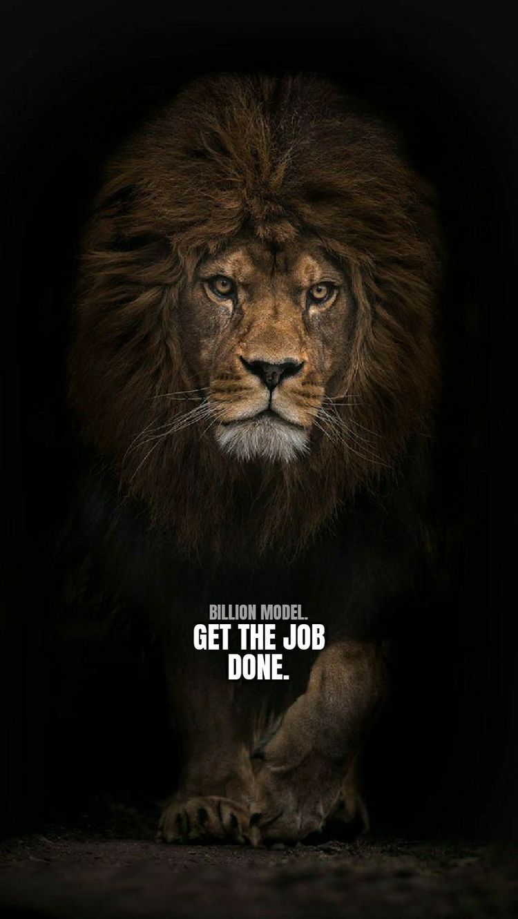 Lion Quotes Wallpapers