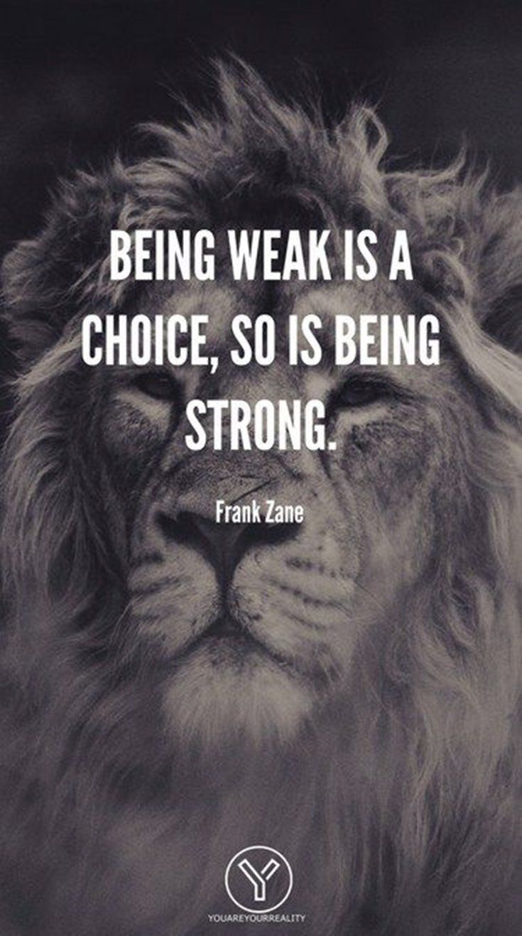 Lion Quotes Wallpapers