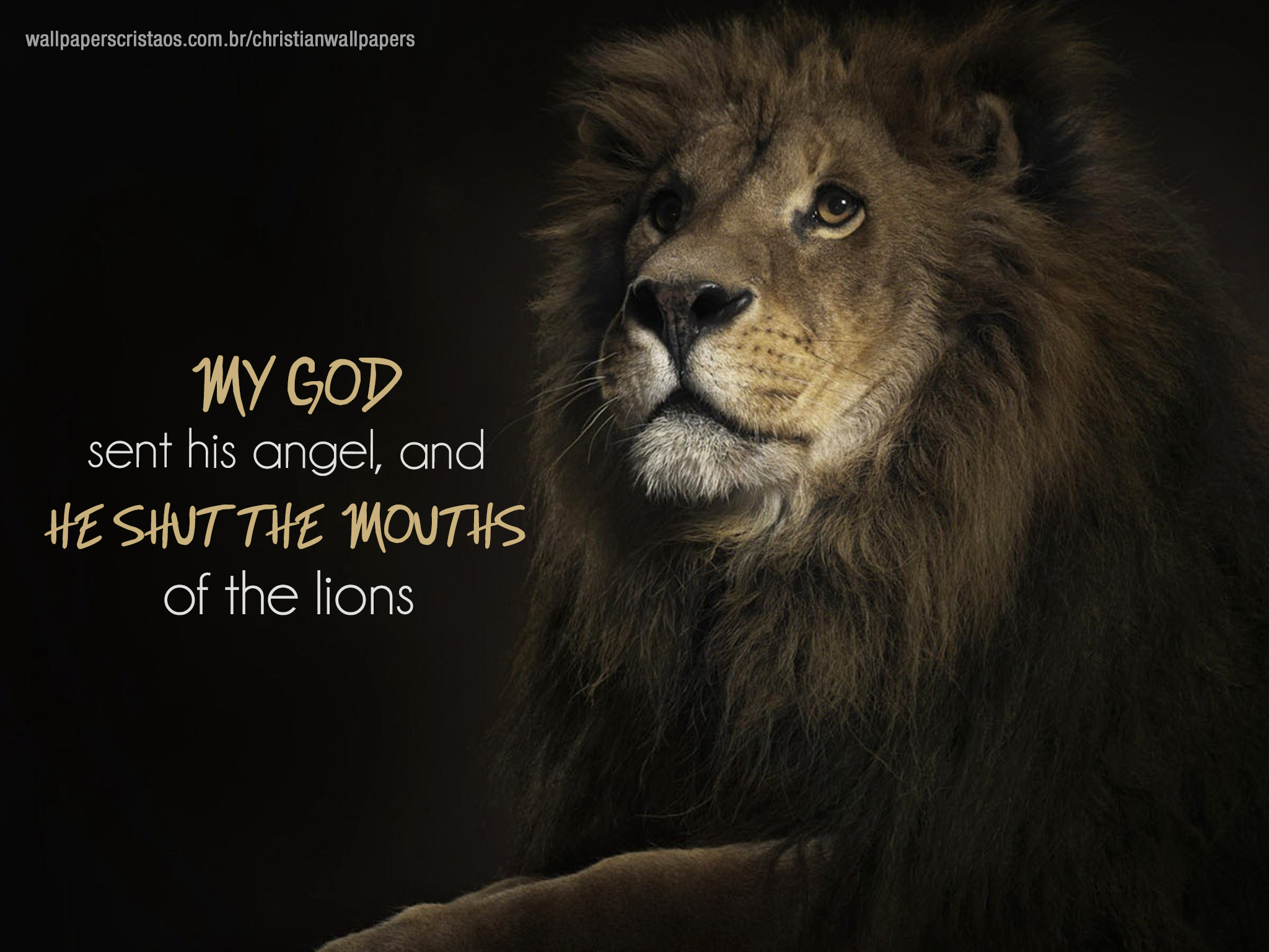 Lion Quotes Wallpapers