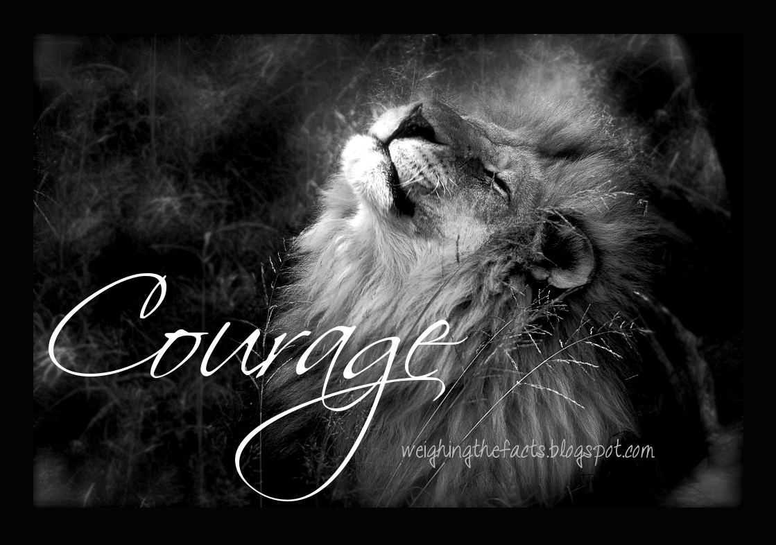 Lion Quotes Wallpapers