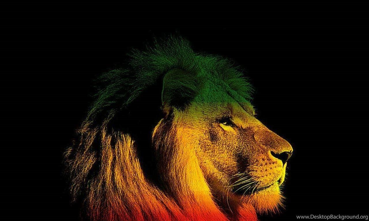 Lion Reggae Wallpapers