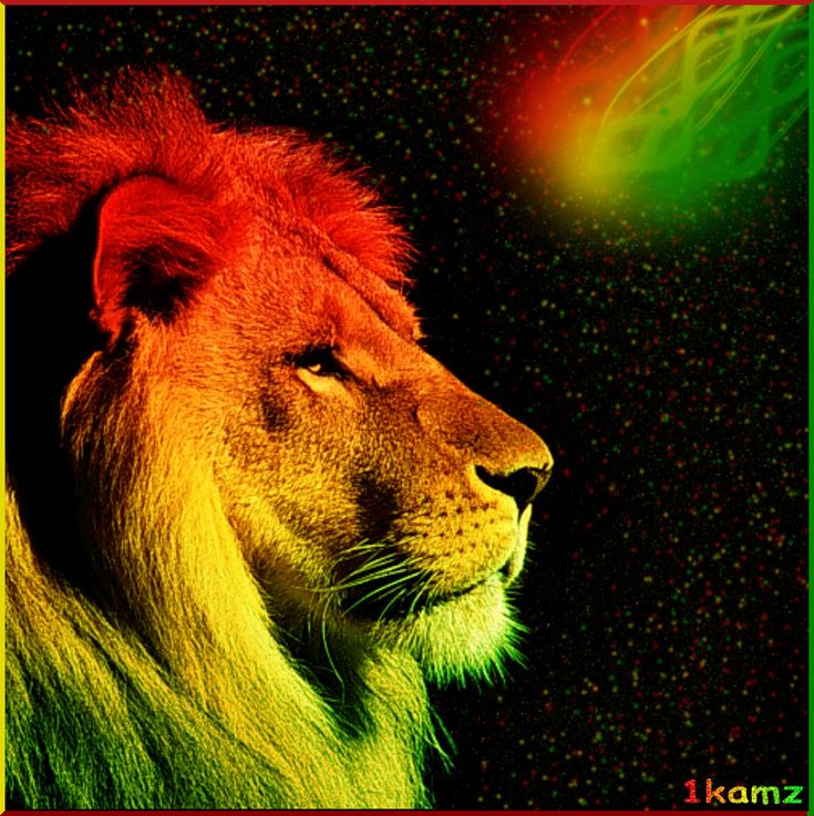 Lion Reggae Wallpapers