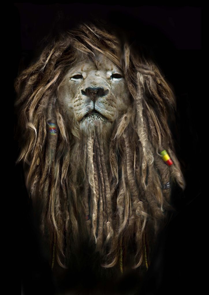 Lion Reggae Wallpapers