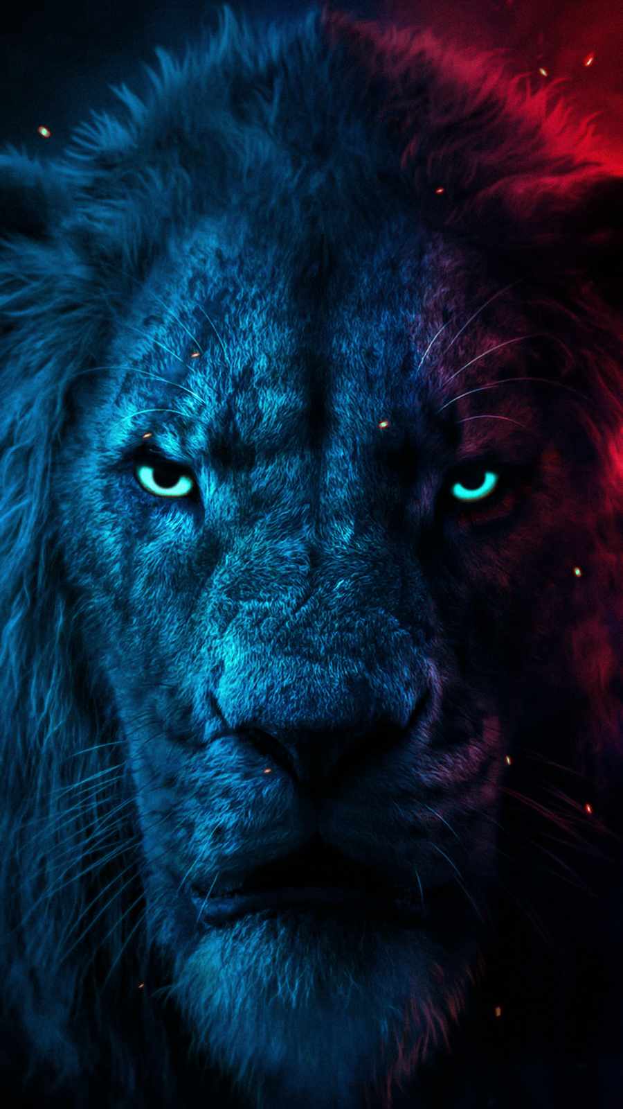 Lion 4K Iphone Wallpapers