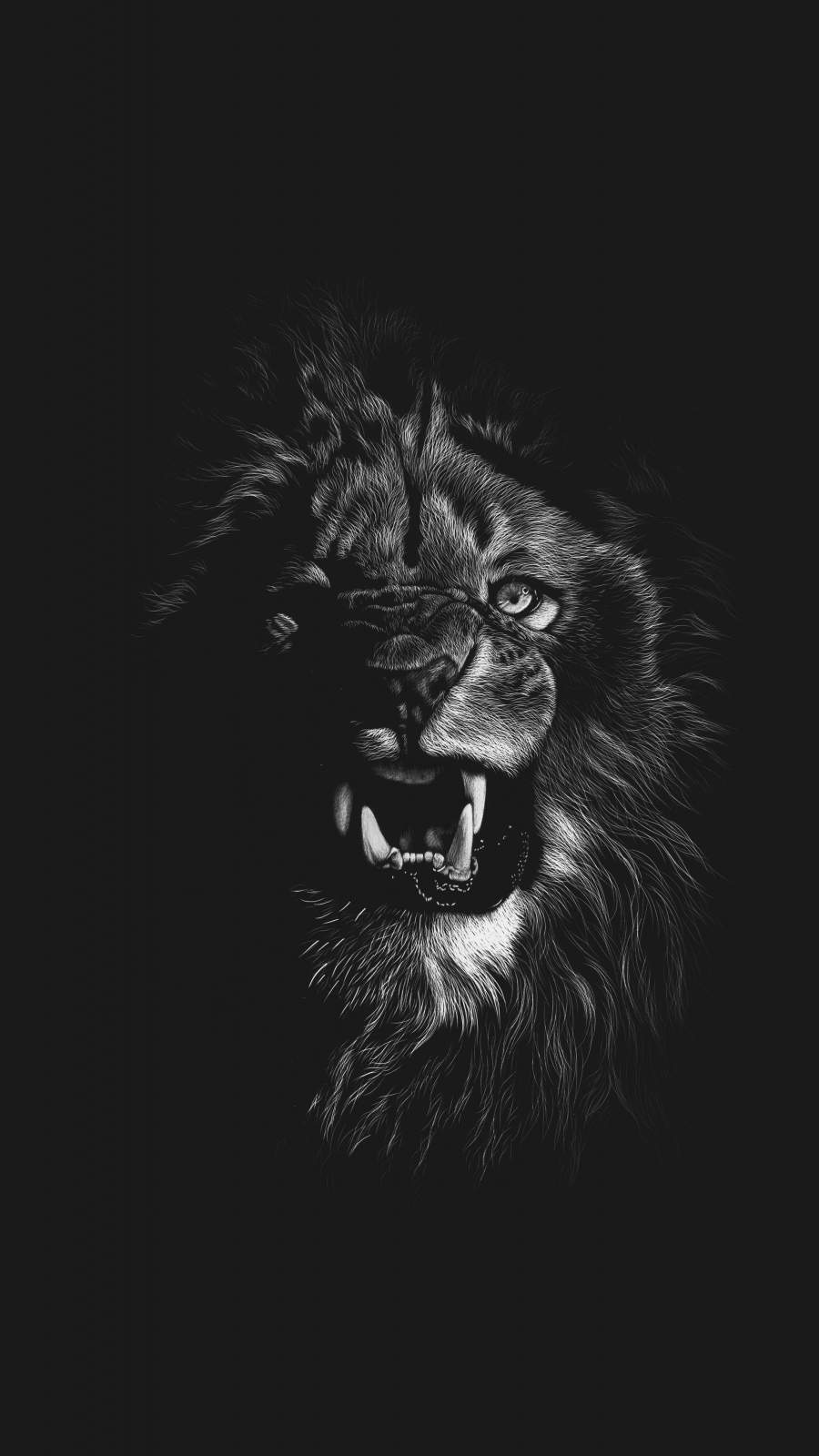 Lion Iphone Wallpapers