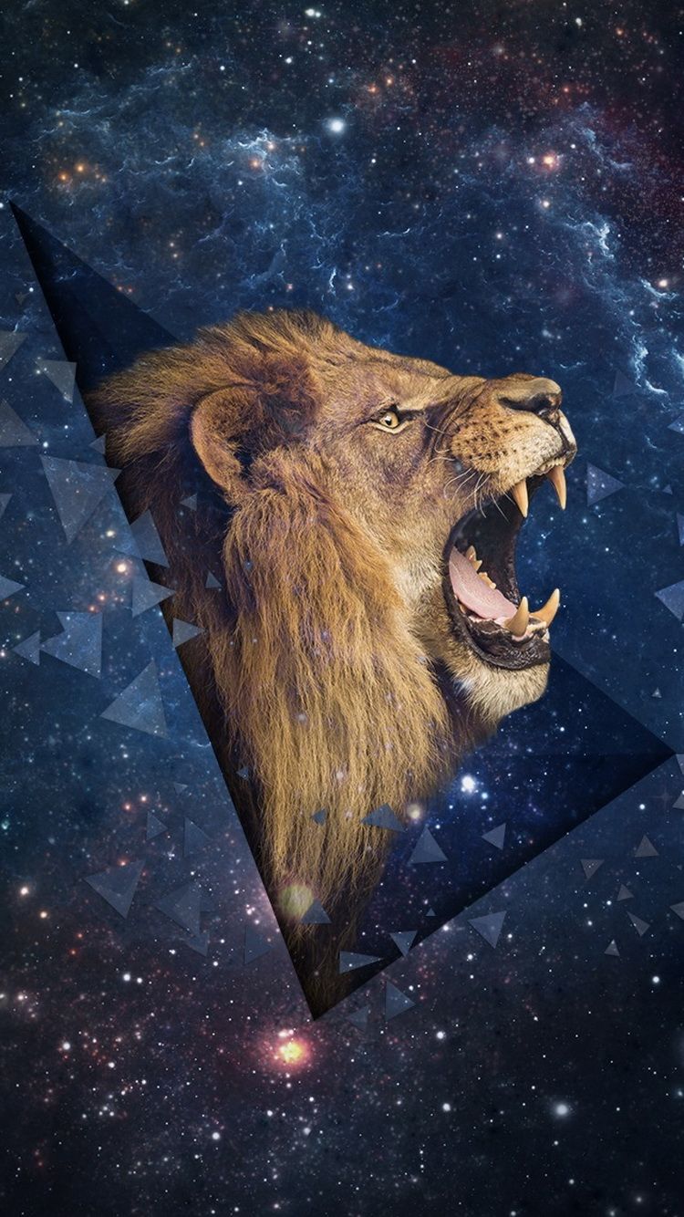 Lion Iphone Wallpapers