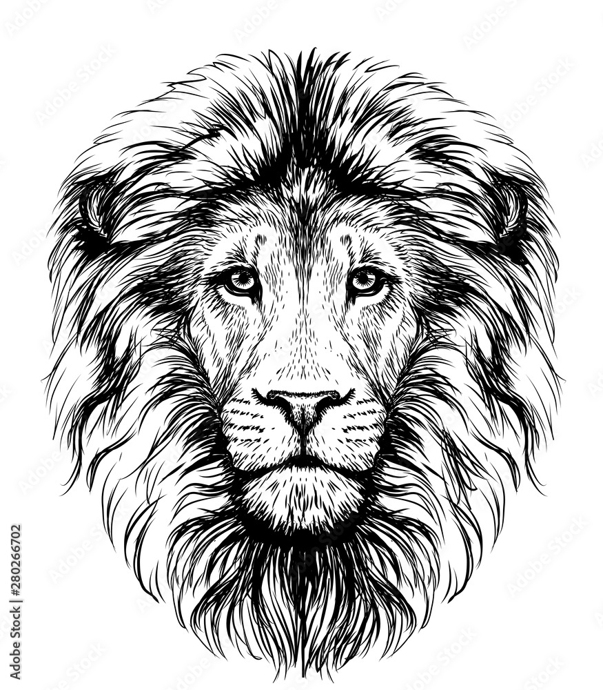 Lions Head Wallpapers