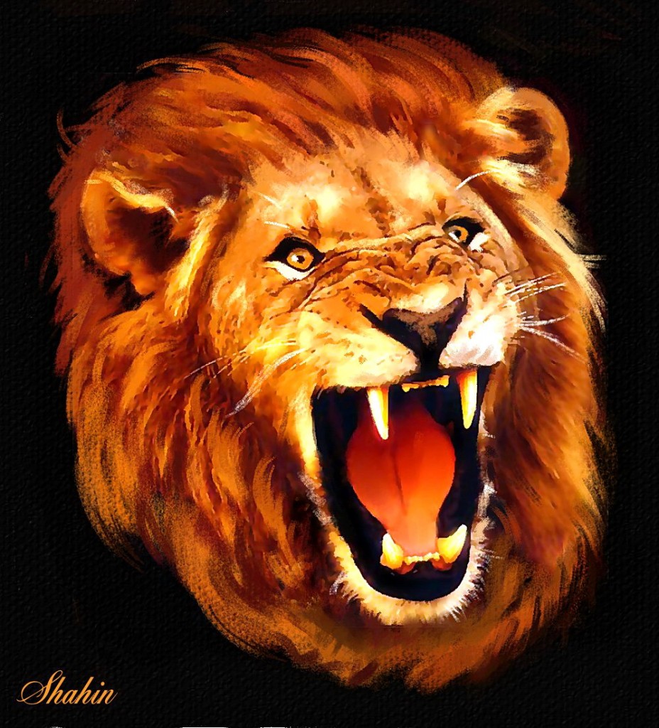 Lions Head Wallpapers