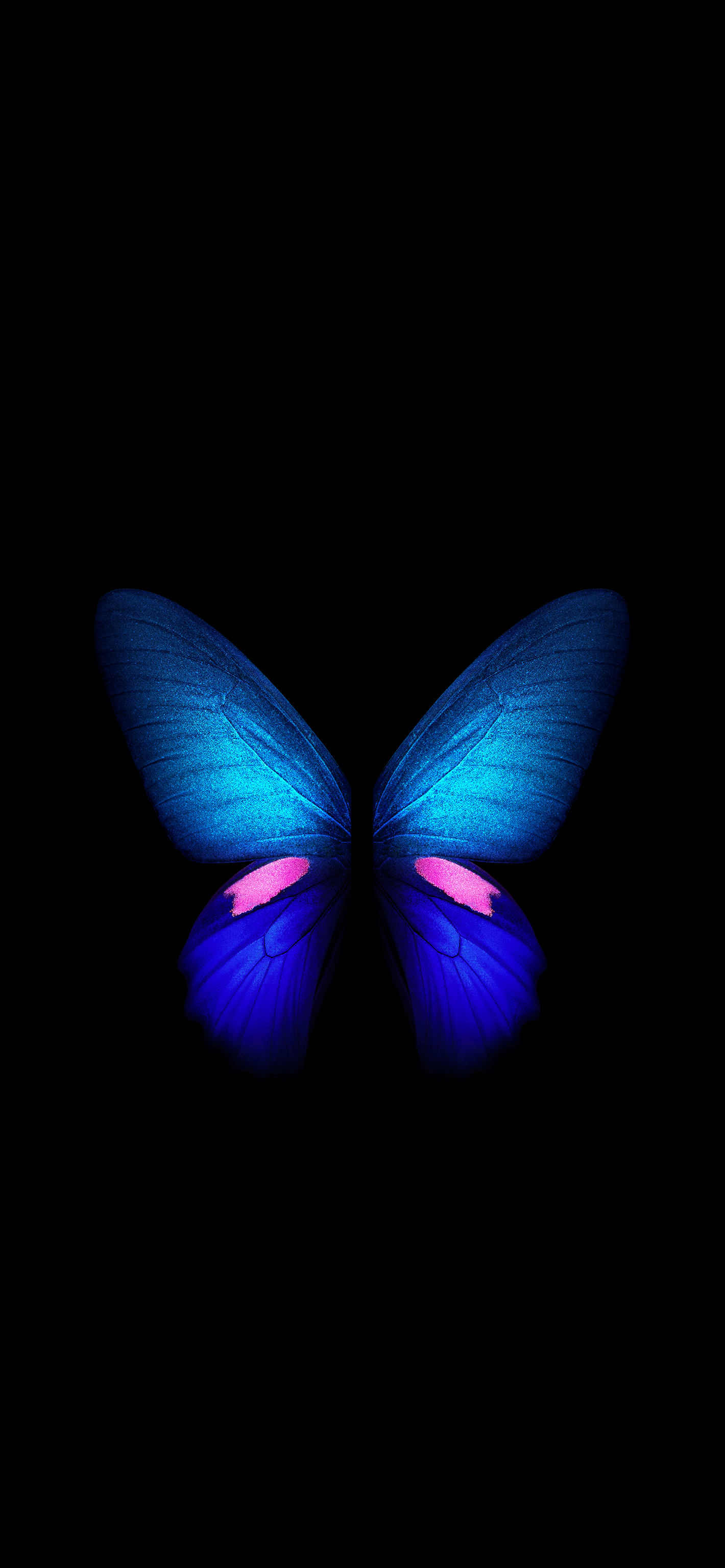 Live Butterfly Wallpapers