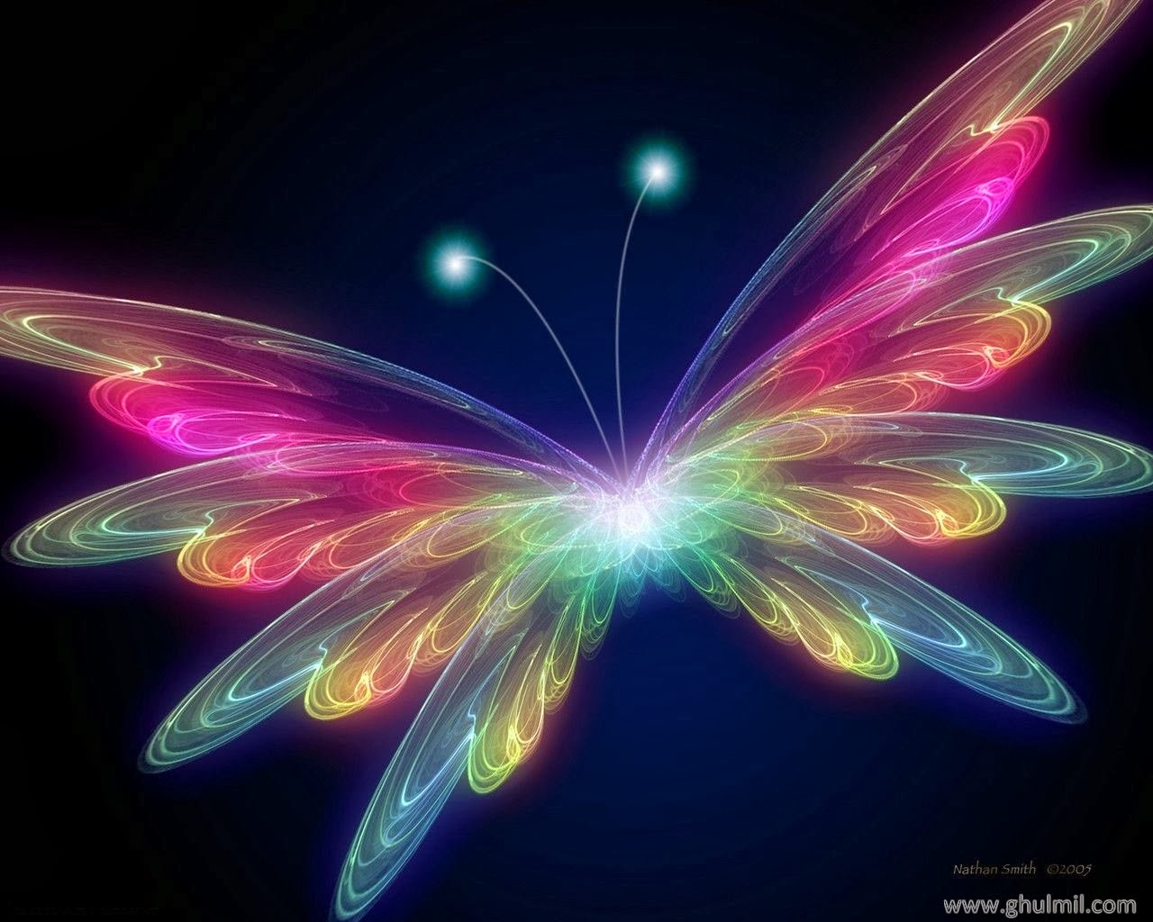 Live Butterfly Wallpapers