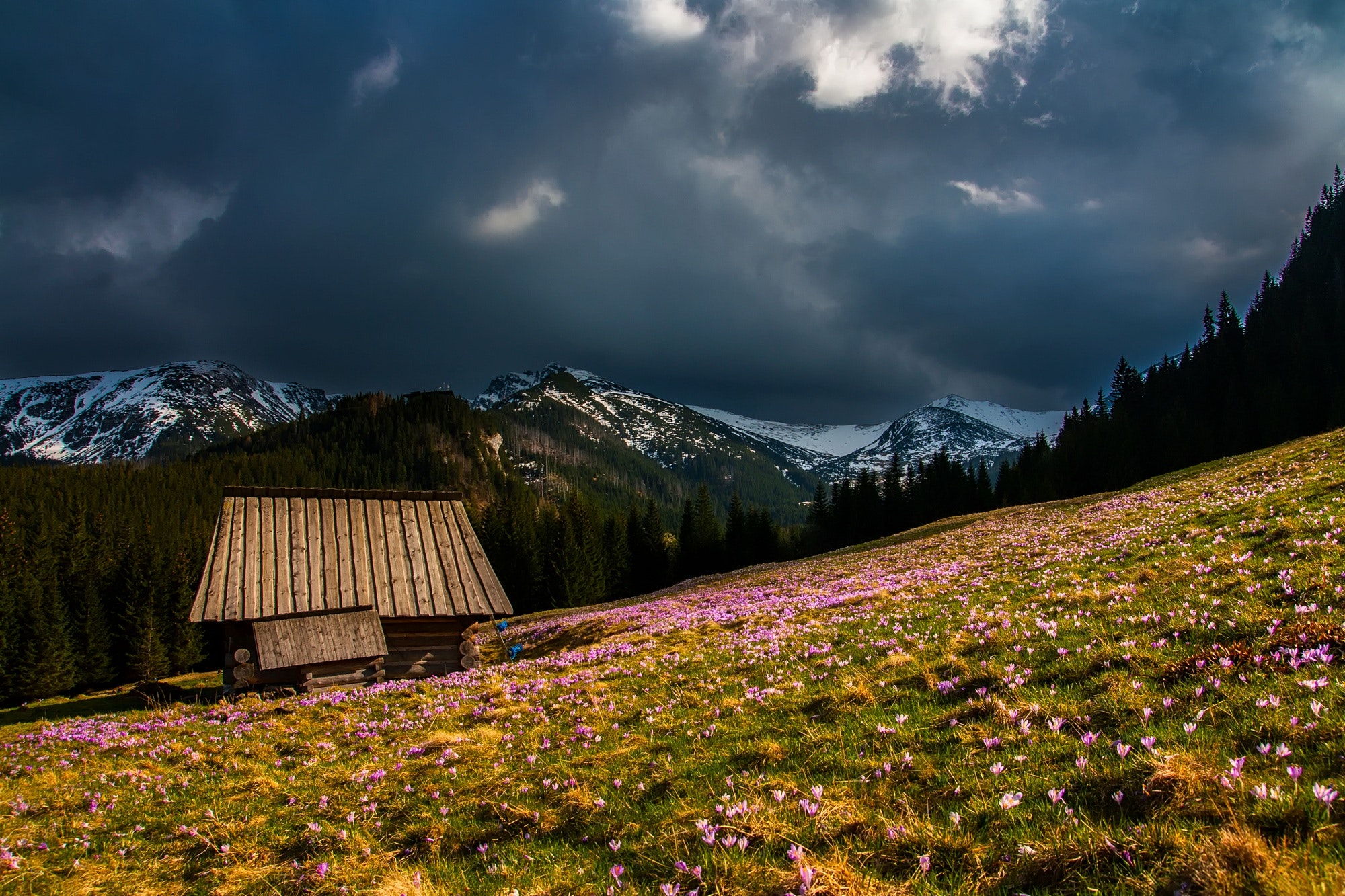 Log Cabin Wallpapers