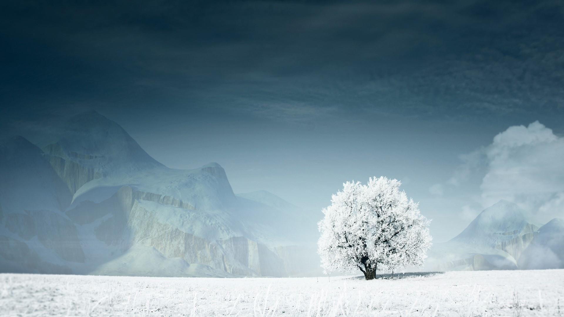 Lonely Winter Wallpapers