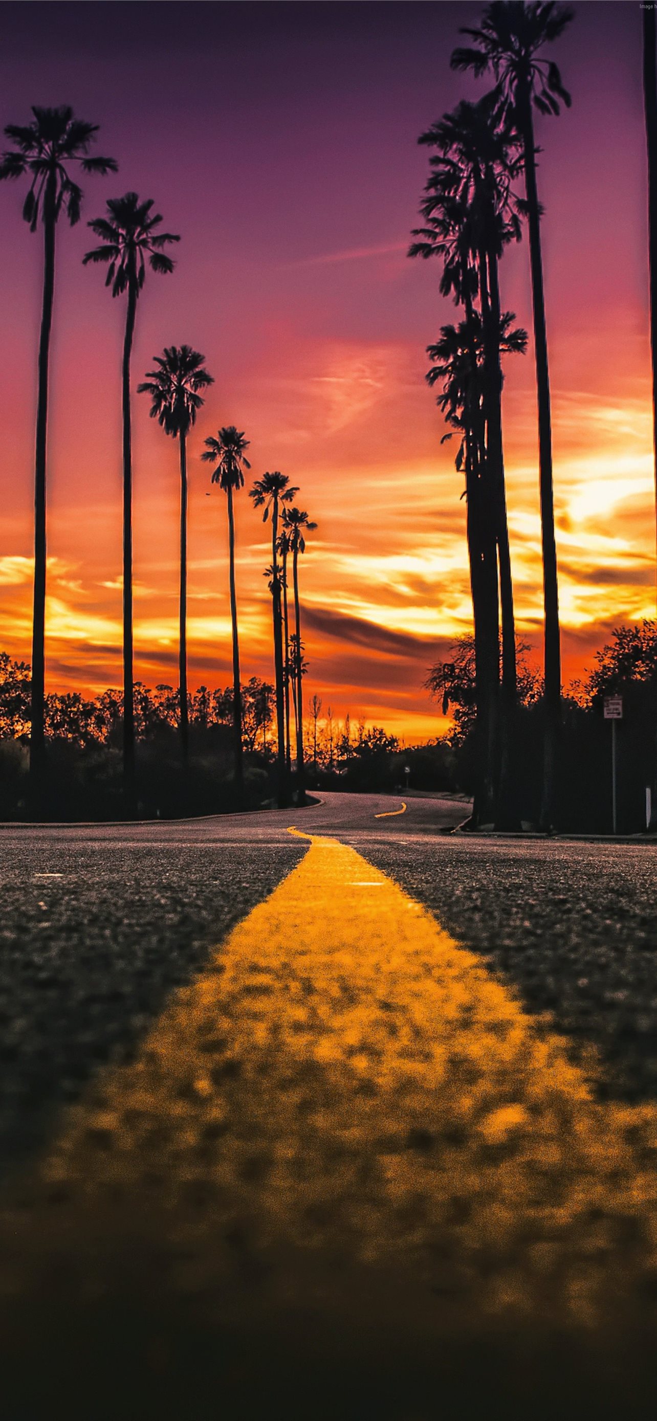 Los Angeles Aesthetic Wallpapers