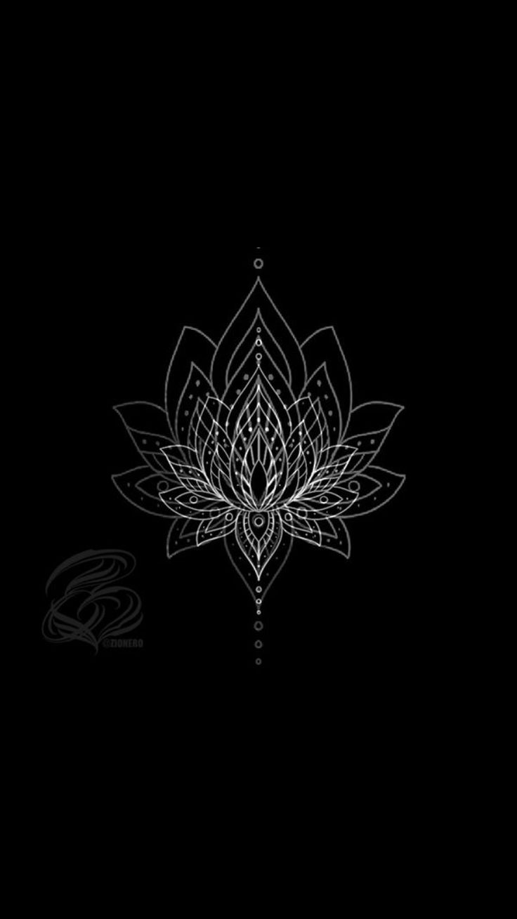 Lotus Black And White Images Wallpapers