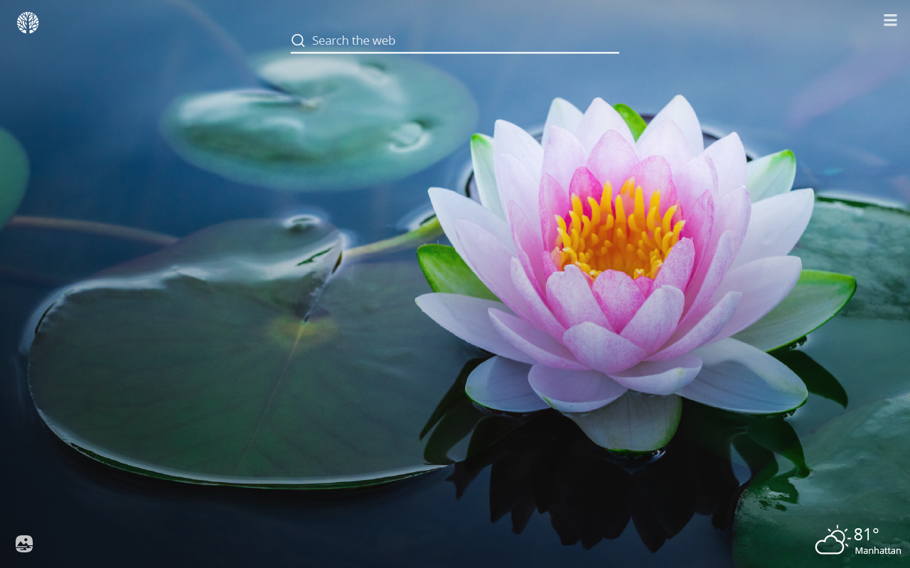 Lotus Desktop Wallpapers