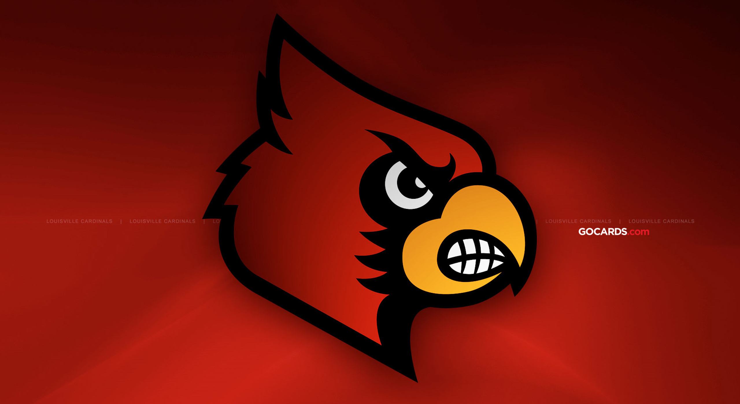 Louisville Cardinal Wallpapers