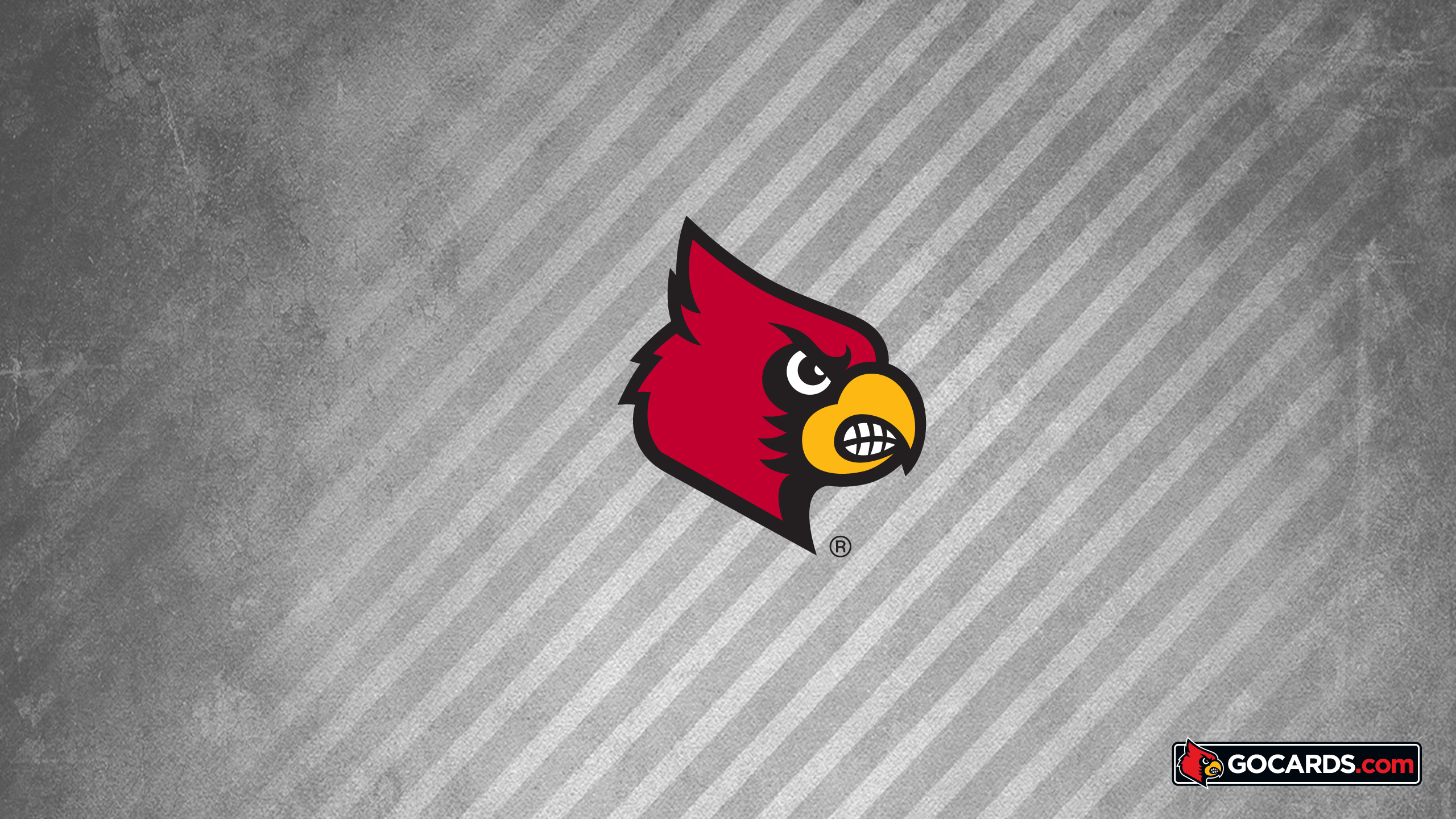 Louisville Cardinal Wallpapers