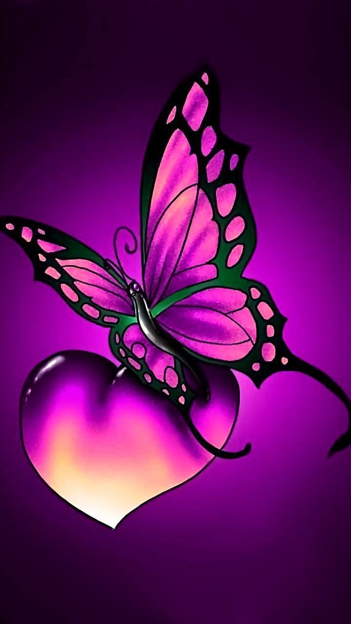 Love Butterfly Hd Wallpapers