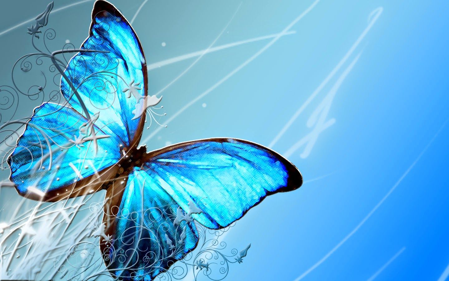 Love Butterfly Hd Wallpapers