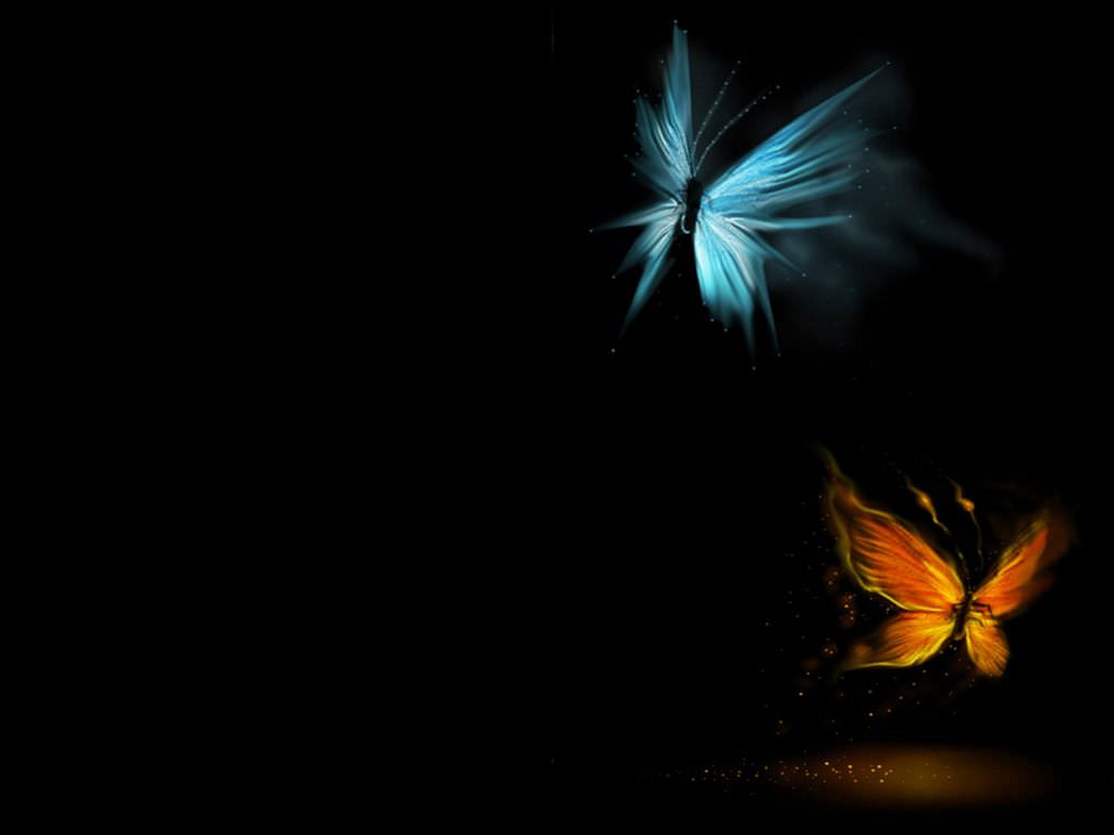 Love Butterfly Hd Wallpapers