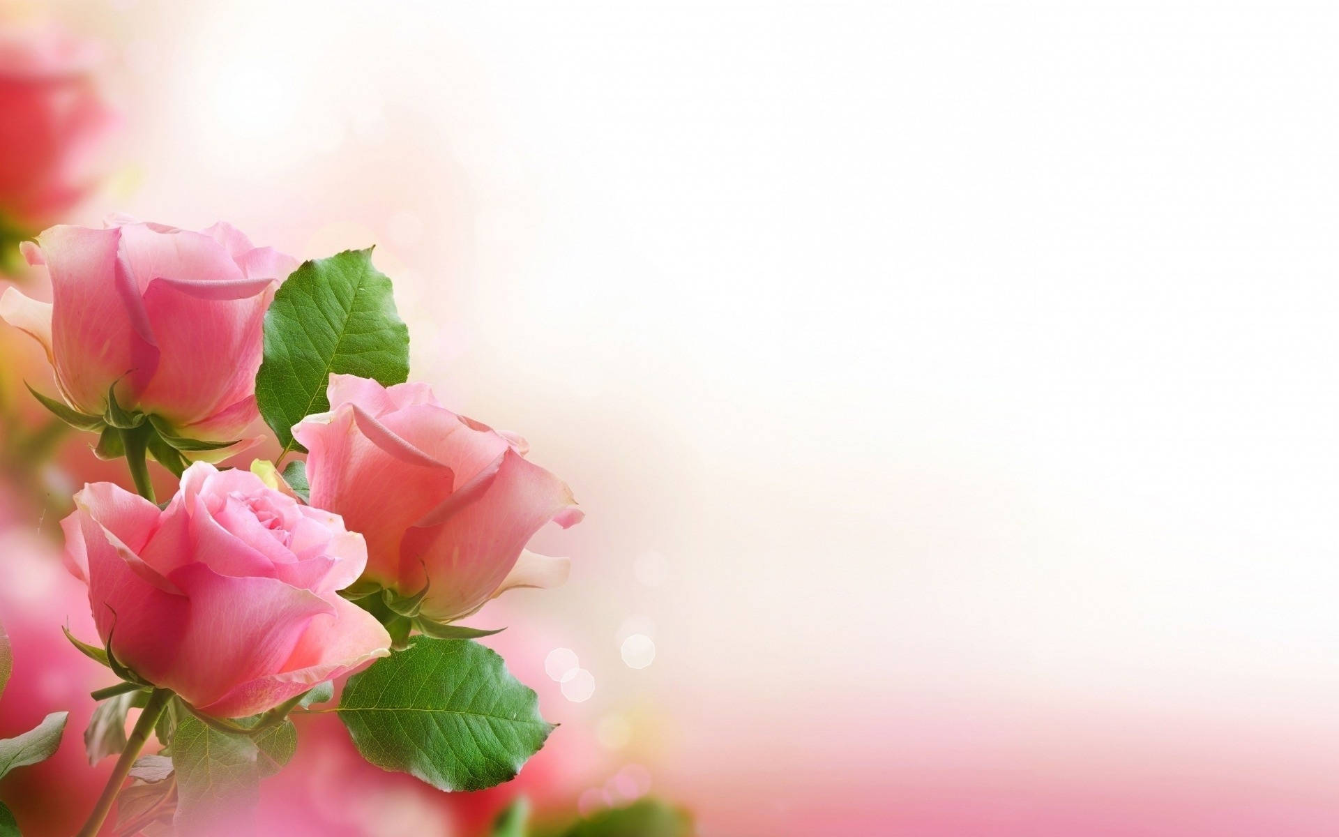 Love Flowers Wallpapers