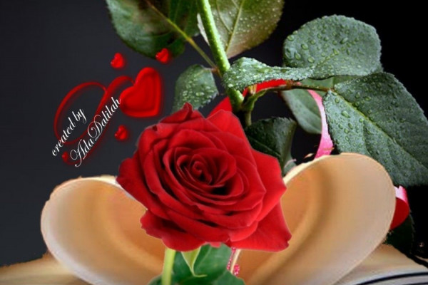 Love Flowers Wallpapers