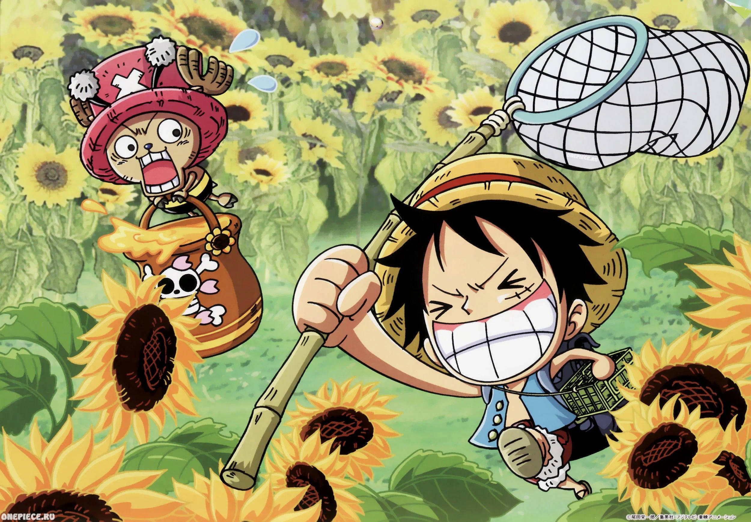 Luffy Funny Face Wallpapers